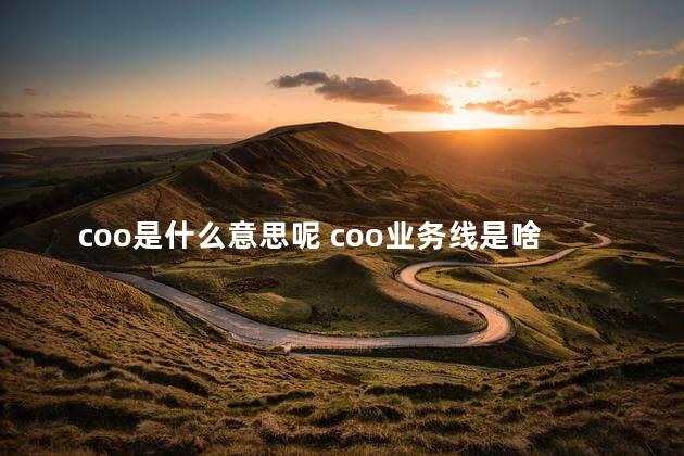 coo是什么意思呢 coo业务线是啥意思